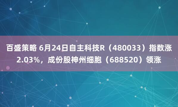 百盛策略 6月24日自主科技R（480033）指数涨2.03%，成份股神州细胞（688520）领涨