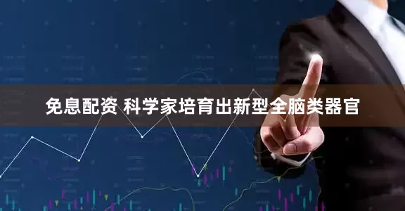 免息配资 科学家培育出新型全脑类器官