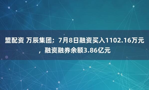 盟配资 万辰集团：7月8日融资买入1102.16万元，融资融券余额3.86亿元